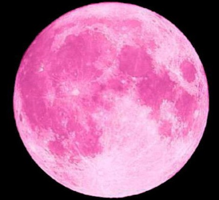 4月27日の満月 ピンクムーン おさのフォト日記